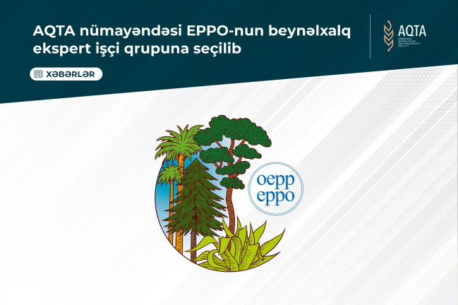 AQTA nümayəndəsi EPPO-nun beynəlxalq ekspert işçi qrupuna seçilib