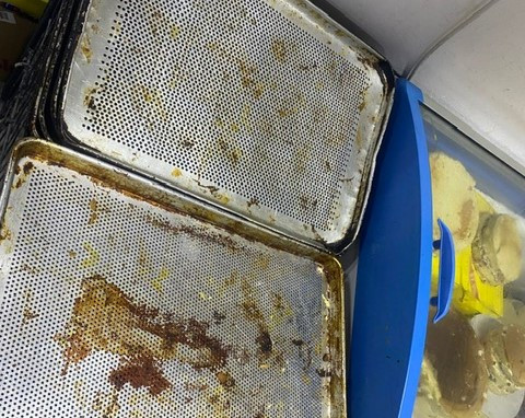 Masazırda “Şok” marketdə tort istehsalı sahəsində nöqsanlar aşkarlanıb