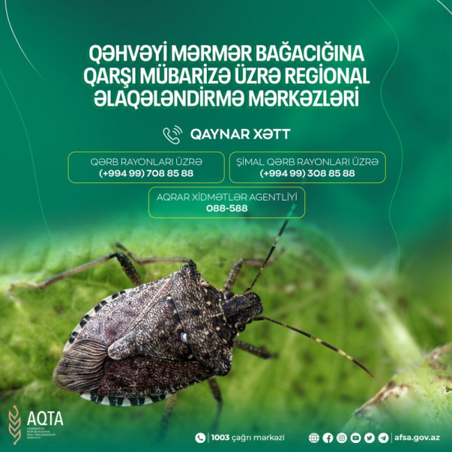 Regional Əlaqələndirmə Mərkəzlərində “Qaynar xətt” fəaliyyət göstərir - ZƏRƏRVERİCİ İLƏ MÜBARİZƏ