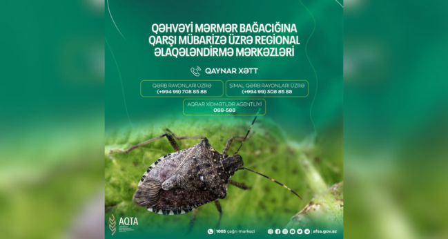 Regional Əlaqələndirmə Mərkəzlərində “Qaynar xətt” fəaliyyət göstərir - ZƏRƏRVERİCİ İLƏ MÜBARİZƏ