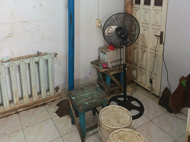 Masallıda ət satışı mağazasında normativ tələblər pozulub