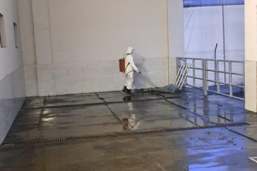 AQTA zoonoz xəstəliklərə şübhəli heyvanların ölkəyə idxalının qarşısını alıb
