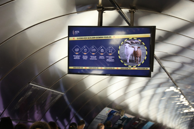 Bakı metrosunda AQTA-nın “Erkən kəsimə son” layihəsi ilə bağlı sosial çarx yayımlanır