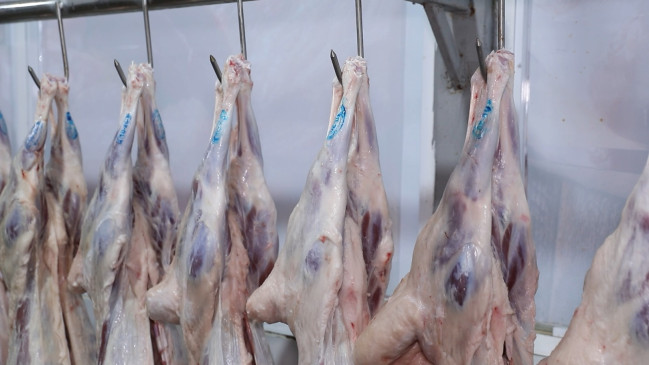 Qurban bayramı ilə bağlı hazırlıq işləri yekunlaşıb - VİDEO