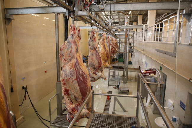 AQTA Qurban bayramı ilə bağlı jurnalistlər üçün infotur təşkil edib