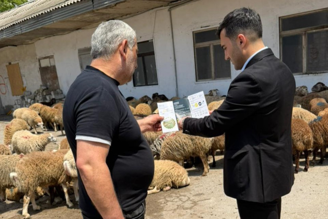 Heyvandarlıqla məşğul olan şəxslərə “Erkən kəsimə son!” bukletləri paylanılıb