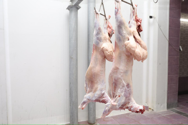 Qurban bayramı günlərində ölkə üzrə 134 ünvanda satış və kəsim xidmətləri göstərilir