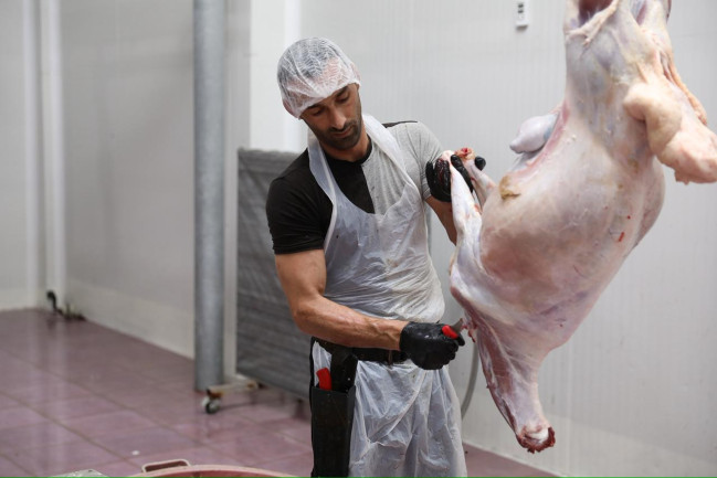 Qurban bayramı günlərində ölkə üzrə 134 ünvanda satış və kəsim xidmətləri göstərilir