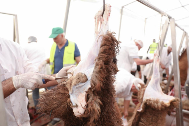 Qurban bayramı günlərində ölkə üzrə 134 ünvanda satış və kəsim xidmətləri göstərilir