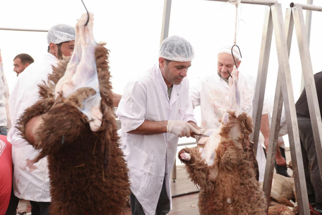 Qurban bayramı günlərində ölkə üzrə 134 ünvanda satış və kəsim xidmətləri göstərilir