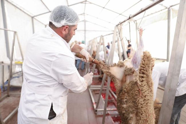 Qurban bayramı günlərində ölkə üzrə 134 ünvanda satış və kəsim xidmətləri göstərilir