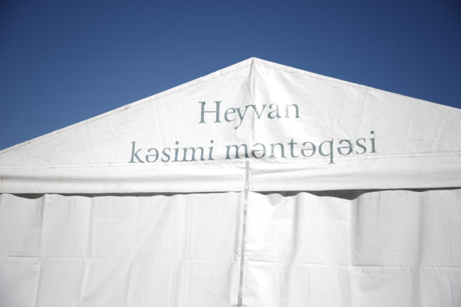 İşğaldan azad olunmuş rayonlarda qurbanlıq heyvanların satışı və kəsimi təşkil edilib