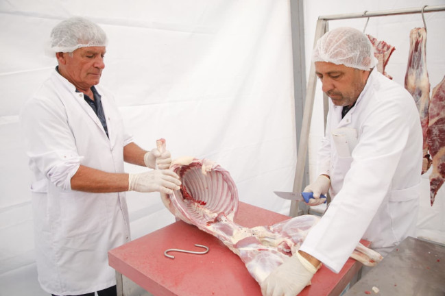 İşğaldan azad olunmuş rayonlarda qurbanlıq heyvanların satışı və kəsimi təşkil edilib