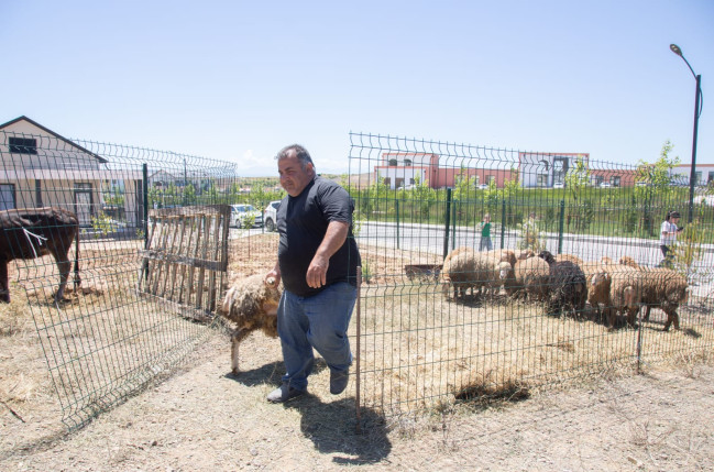Cəbrayılda “Qurban Yarmarkası – Bərəkət Festivalı” keçirilib