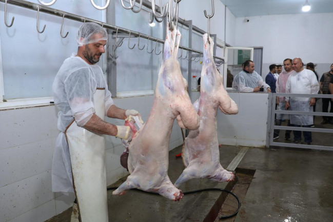 Ölkə üzrə 134 ünvanda qurbanlıq heyvanların satış və kəsim xidmətləri davam etdirilib