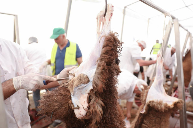 Qurban bayramı günlərində ölkə üzrə 134 ünvanda satış və kəsim xidmətləri göstərilir