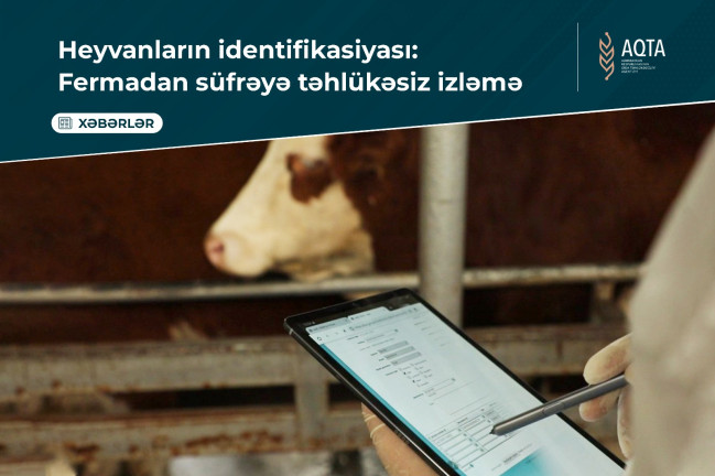 Heyvanların identifikasiyası: Fermadan süfrəyə təhlükəsiz izləmə
