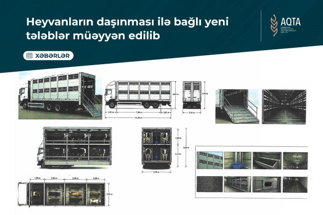 Heyvanların daşınması ilə bağlı yeni tələblər müəyyən edilib