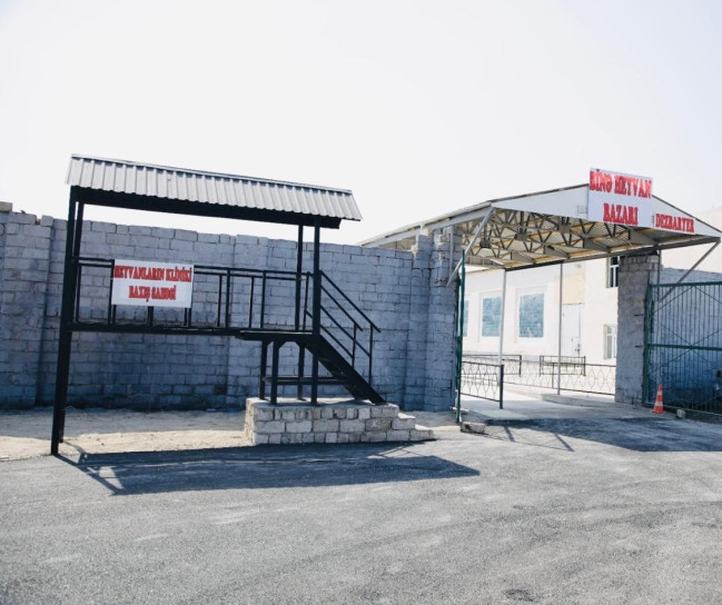 Binə qəsəbəsində yeni heyvan bazarı fəaliyyətə başlayıb