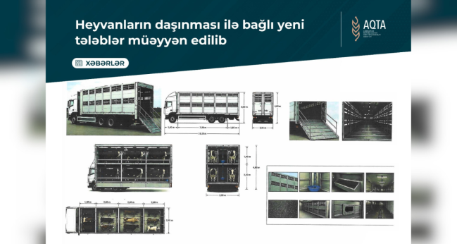 Heyvanların daşınması ilə bağlı yeni tələblər müəyyən edilib
