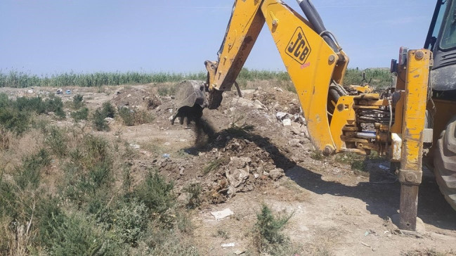 Uyğunsuzluq aşkarlanan pambıq toxumu partiyası məhv edilib