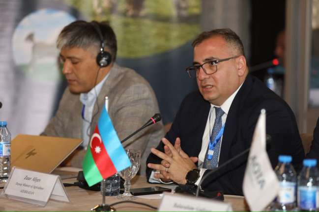 Transsərhəd heyvan xəstəliklərinə qarşı regional əməkdaşlıq gücləndirilir