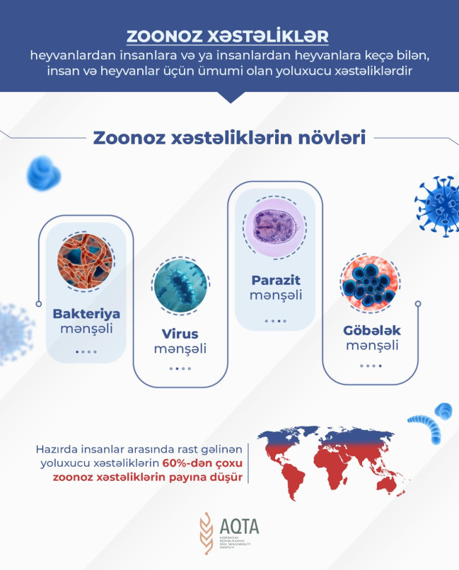 Zoonoz xəstəliklər – insan və heyvan sağlamlığı üçün təhlükə