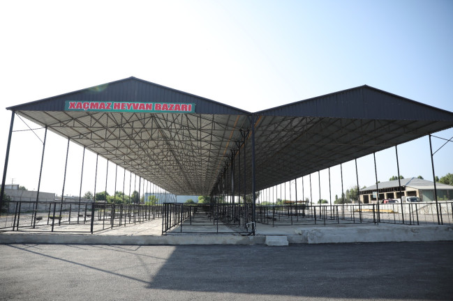 Xaçmazda heyvan satışı bazarı fəaliyyətə başlayıb