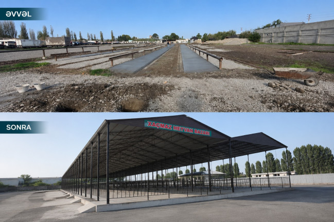 Xaçmazda heyvan satışı bazarı fəaliyyətə başlayıb