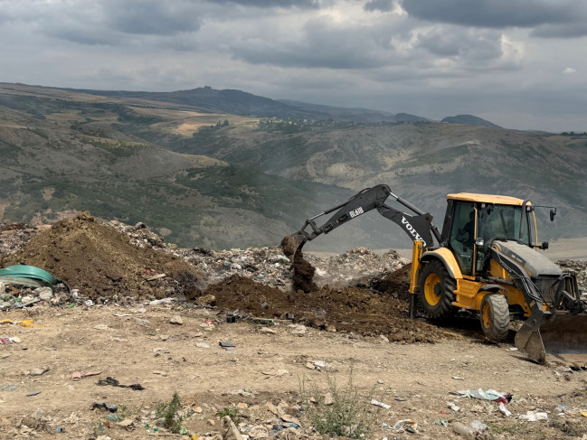 İdxal olunan nektarin tingində Gavalının cibcibə virusu aşkarlanıb