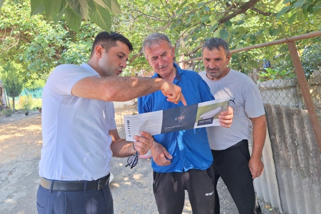 Amerika ağ kəpənəyinə qarşı monitorinqlər davam edir