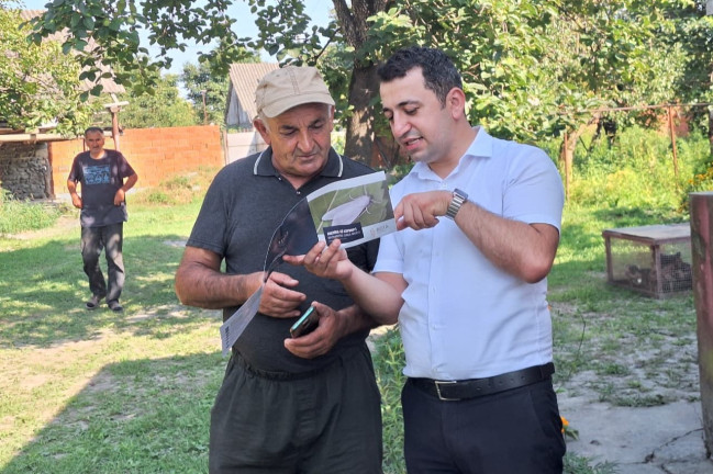 Amerika ağ kəpənəyinə qarşı monitorinqlər davam edir