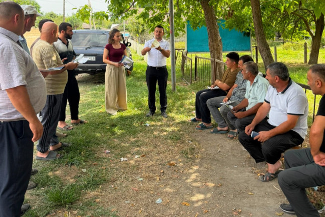 Amerika ağ kəpənəyinə qarşı monitorinqlər davam edir