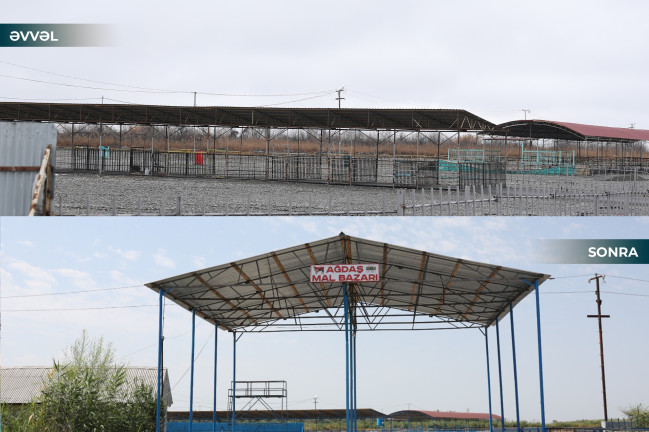 Ağdaş heyvan satışı bazarı fəaliyyətə başlayıb