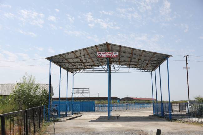 Ağdaş heyvan satışı bazarı fəaliyyətə başlayıb