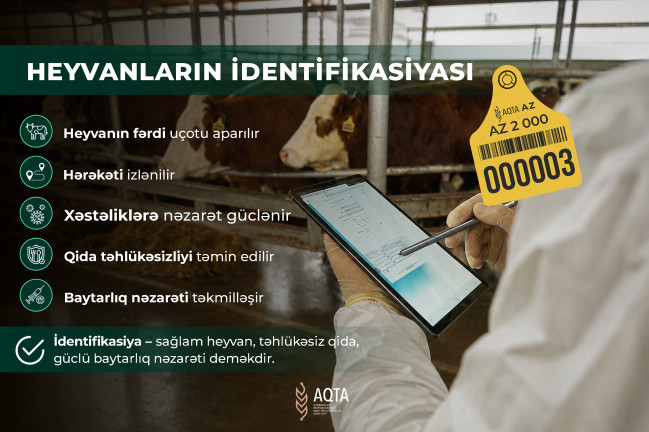 Heyvanların identifikasiyası nə üçün vacibdir?