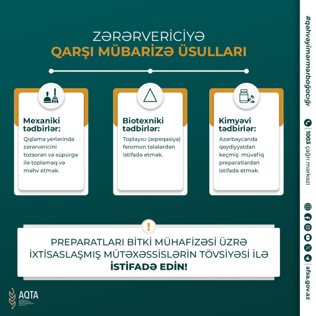 Qəhvəyi mərmər bağacığına qarşı mübarizə üsulları