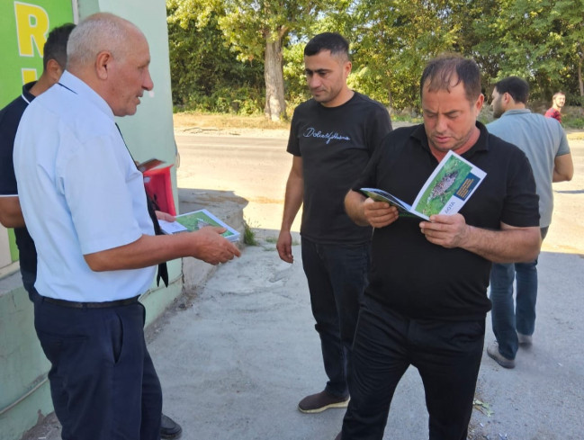Qəhvəyi mərmər bağacığı ilə bağlı maarifləndirmə tədbirləri davam etdirilir