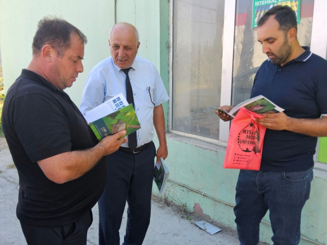 Qəhvəyi mərmər bağacığı ilə bağlı maarifləndirmə tədbirləri davam etdirilir