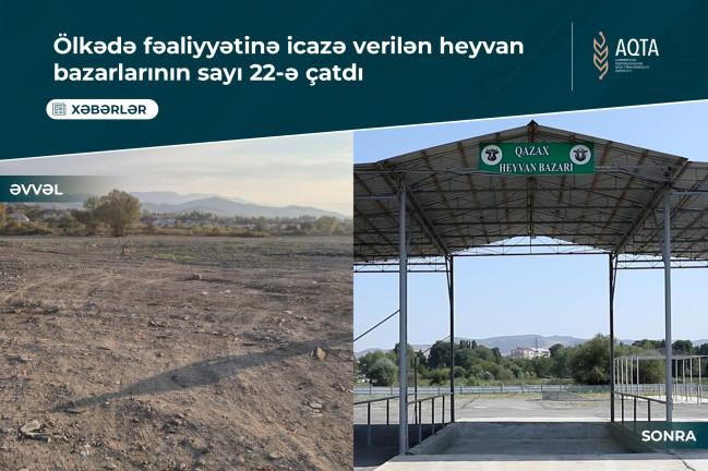 Ölkədə fəaliyyətinə icazə verilən heyvan bazarlarının sayı 22-ə çatdı - VİDEO