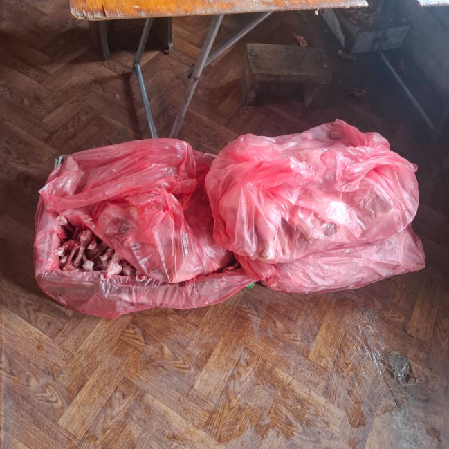 Gəncədə antisanitar şəraitdə dönər əti hazırlayan emal sexi aşkarlanıb
