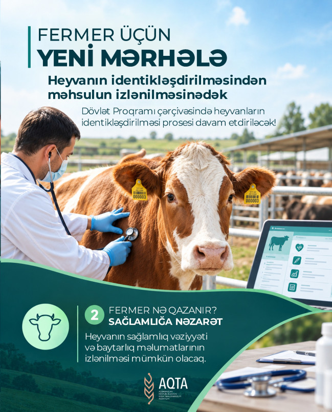 Fermer üçün yeni mərhələ: heyvanın identikləşdirilməsindən məhsulun izlənilməsinədək