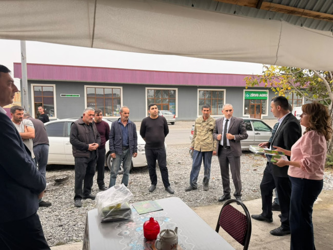 Oğuzda qəhvəyi mərmər bağacığı ilə bağlı maarifləndirmə tədbirləri keçirilib