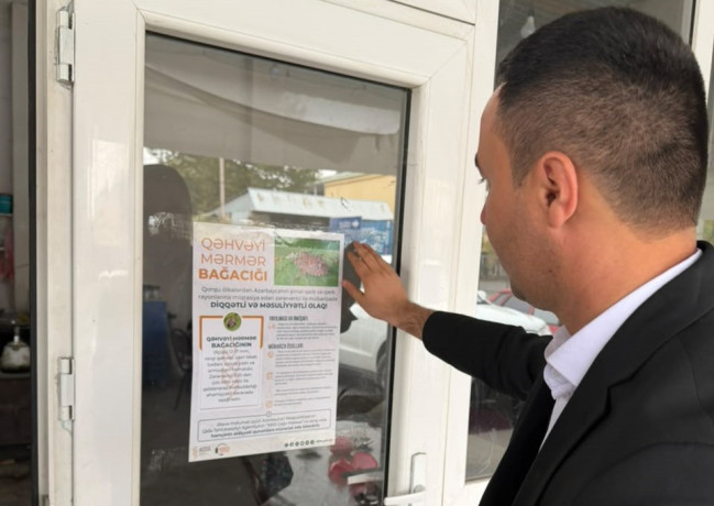 Oğuzda qəhvəyi mərmər bağacığı ilə bağlı maarifləndirmə tədbirləri keçirilib