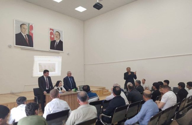 Qışlama dövrü qəhvəyi mərmər bağacığına qarşı mübarizədə ən əlverişli vaxtdır
