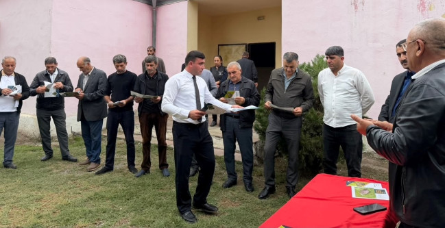Qışlama dövrü qəhvəyi mərmər bağacığına qarşı mübarizədə ən əlverişli vaxtdır