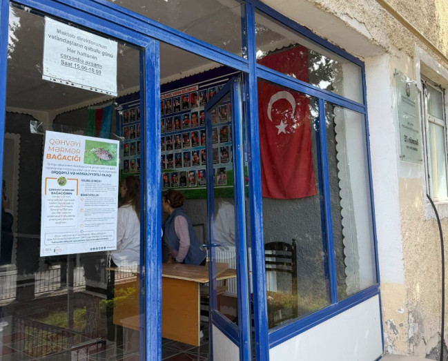 Qəhvəyi mərmər bağacığı ilə mübarizədə əhalinin fəallığı vacibdir