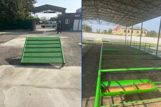 Şəmkirdə yeni heyvan satışı bazarı fəaliyyətə başladı