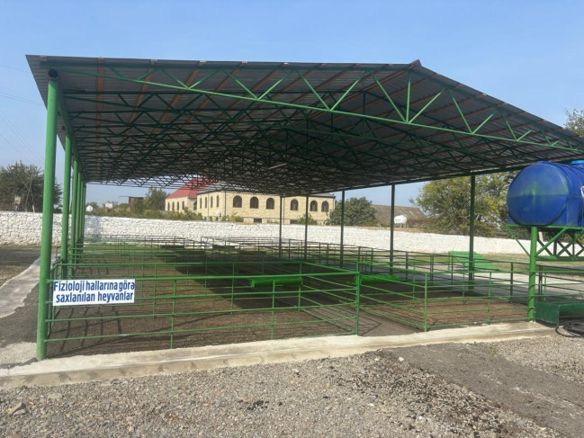 Şəmkirdə yeni heyvan satışı bazarı fəaliyyətə başladı