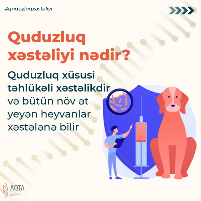 28 sentyabr Ümumdünya Quduzluq Xəstəliyi ilə mübarizə günüdür